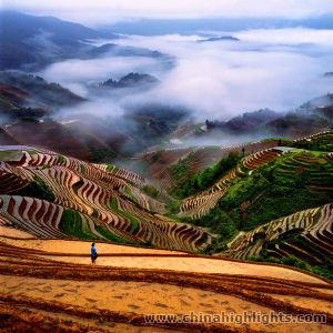 Longji Trerrace Field